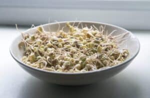 A bowl of steamed sprouts in a Spring Sprouting Steamer recipe